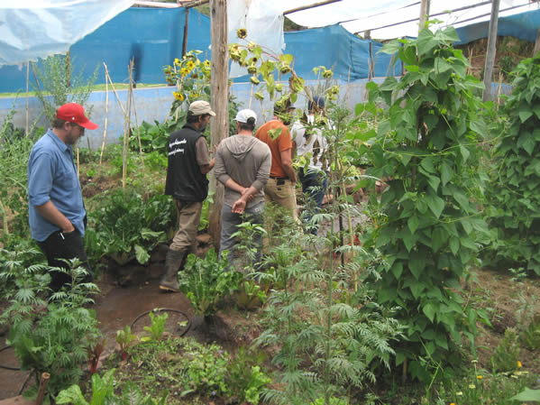 Touring the swimming pool greenhouse at Arariwakuna